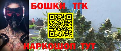 индика Ивантеевка