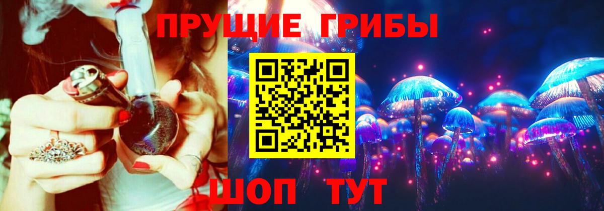 сколько стоит  Псилоцибиновые грибы мухоморы  Богданович  Вход с VPN  Псилоцибиновые грибы MAGIC MUSHROOMS 